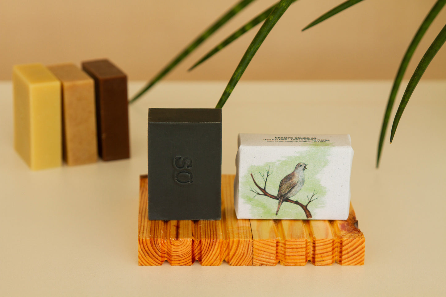 champo_solido_cabeloleoso