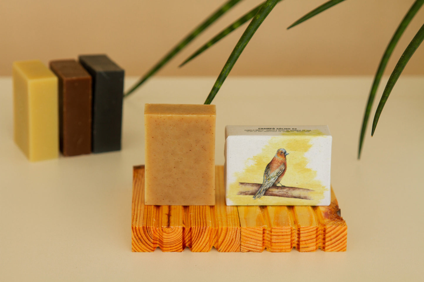 champosolido_cabelomisto1