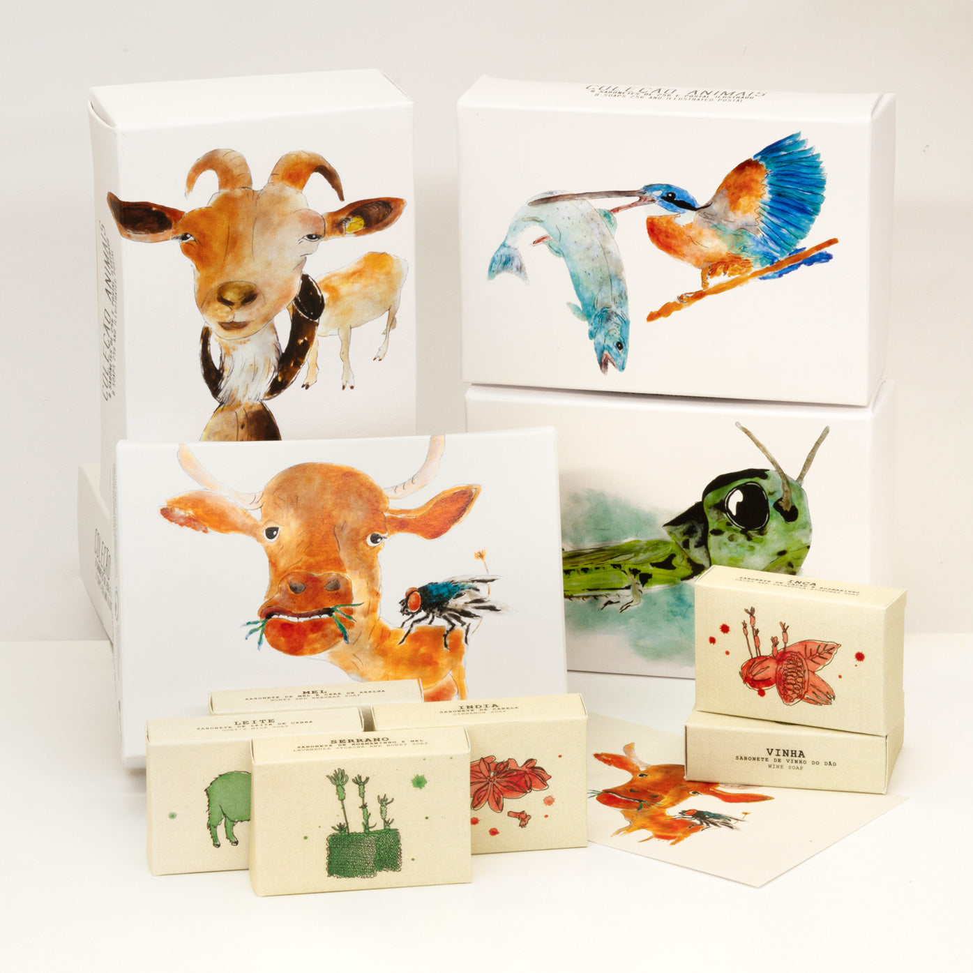Animais da Terra
